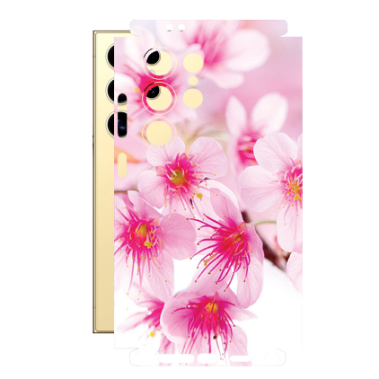 Защитная пленка StatusSKIN для Samsung Galaxy S24 Ultra (SM-S928)