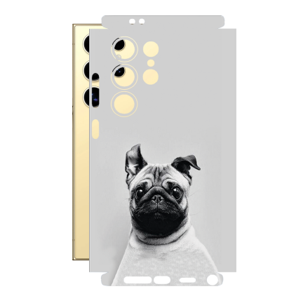 Защитная пленка StatusSKIN для Samsung Galaxy S24 Ultra (SM-S928)