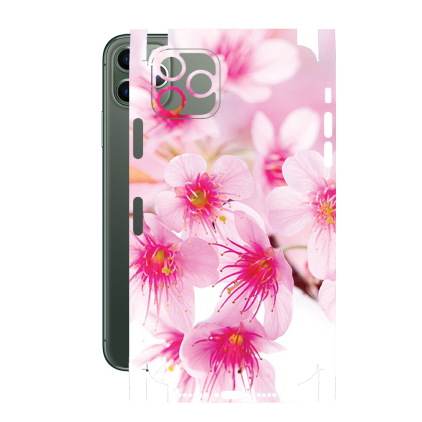 Захисна плівка StatusSKIN для Apple iPhone 11 Pro Max