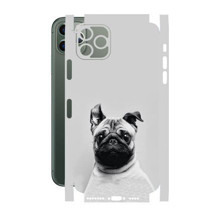 Захисна плівка StatusSKIN для Apple iPhone 11 Pro Max