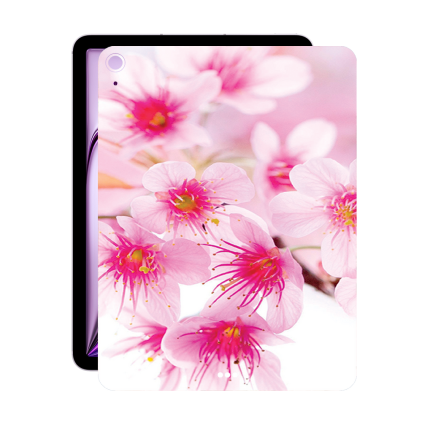 Захисна плівка StatusSKIN для Apple iPad Air 11 (2024)