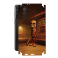 Защитная пленка StatusSKIN для Samsung Galaxy S21 Plus 5G (G996)