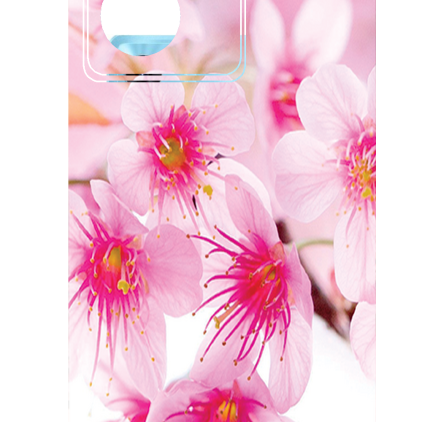 Захисна плівка StatusSKIN для OPPO A97