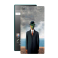 Защитная пленка StatusSKIN для Sony Xperia Z5 Premium (E6883 E6853)