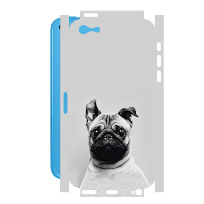 Захисна плівка StatusSKIN для Apple iPhone 5c