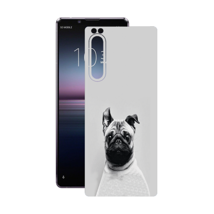 Захисна плівка StatusSKIN для Sony Xperia 1 II