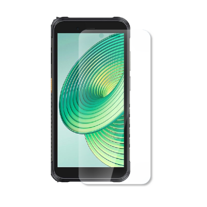 Захисна плівка StatusSKIN для Ulefone RugKing