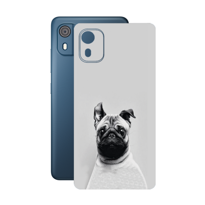 Захисна плівка StatusSKIN для Nokia C02