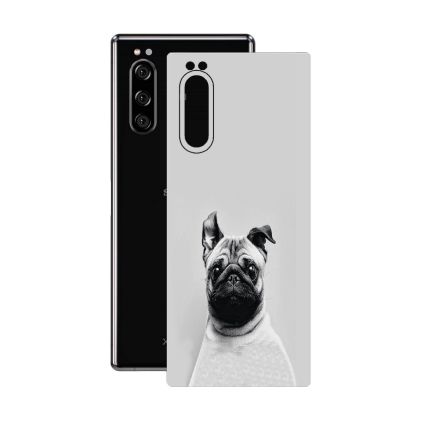 Захисна плівка StatusSKIN для Sony Xperia 5 J9210