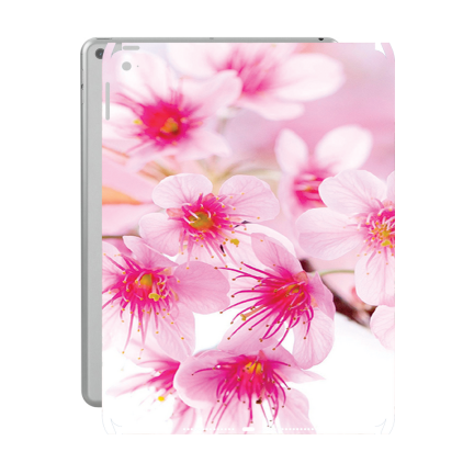 Захисна плівка StatusSKIN для Apple iPad Air 2 2014 (A1567)