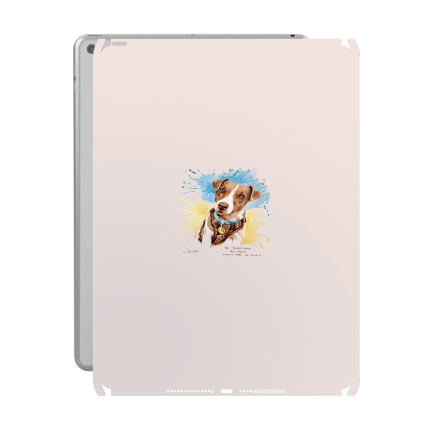 Захисна плівка StatusSKIN для Apple iPad Air 2 2014 (A1567)