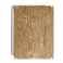 Захисна плівка StatusSKIN для Apple iPad Air 2 2014 (A1567)