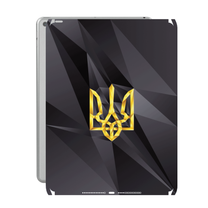 Захисна плівка StatusSKIN для Apple iPad Air 2 2014 (A1567)