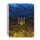 Захисна плівка StatusSKIN для Apple iPad Air 2 2014 (A1567)