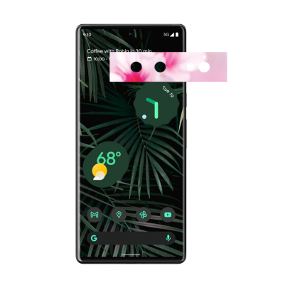 Защитная пленка StatusSKIN для Google Pixel 6