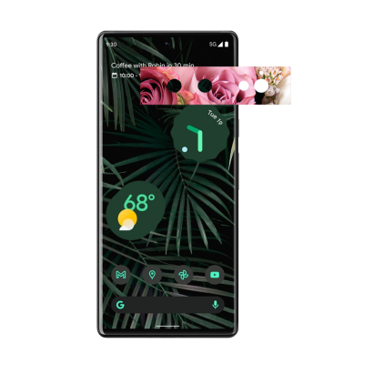Защитная пленка StatusSKIN для Google Pixel 6