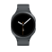 Защитная пленка StatusSKIN для Samsung Galaxy Watch 8 44mm