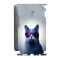 Защитная пленка StatusSKIN для Meizu MX6