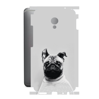 Защитная пленка StatusSKIN для Meizu MX6