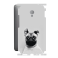 Защитная пленка StatusSKIN для Meizu MX6