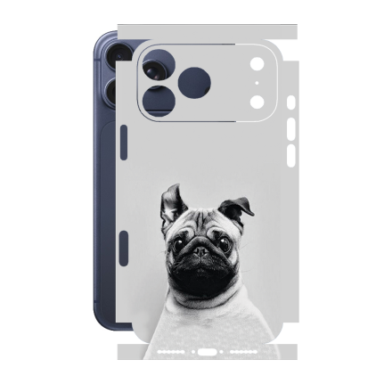 Захисна плівка StatusSKIN для Apple iPhone 17 Pro Max