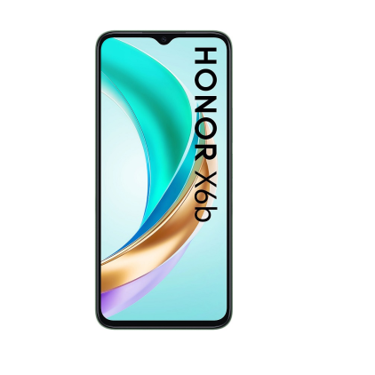 Защитная пленка StatusSKIN для Honor X6B