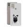 Защитная пленка StatusSKIN для Nokia C22