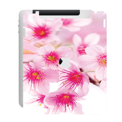 Захисна плівка StatusSKIN для Apple iPad 2 (A1396)