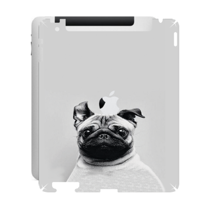 Захисна плівка StatusSKIN для Apple iPad 2 (A1396)
