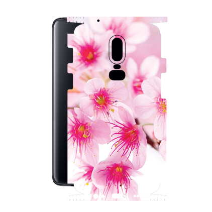 Защитная пленка StatusSKIN для OnePlus 6