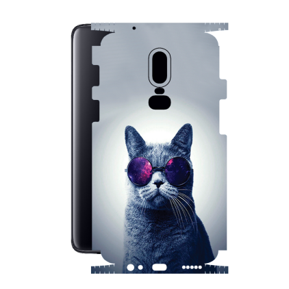 Защитная пленка StatusSKIN для OnePlus 6