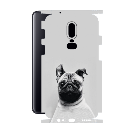 Защитная пленка StatusSKIN для OnePlus 6