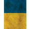 Захисна плівка StatusSKIN для Bluboo Moya