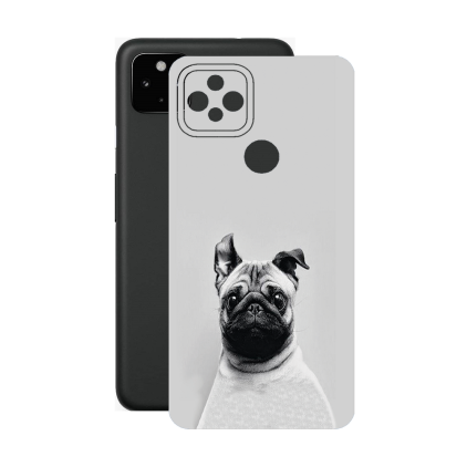 Захисна плівка StatusSKIN для Google Pixel 5