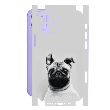 Захисна плівка StatusSKIN для Apple iPhone 12 mini