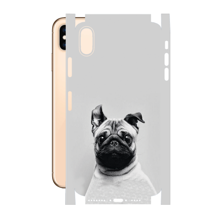 Захисна плівка StatusSKIN для Apple iPhone XS Max