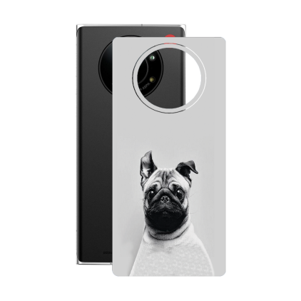 Захисна плівка StatusSKIN для Leica leitz phone 1