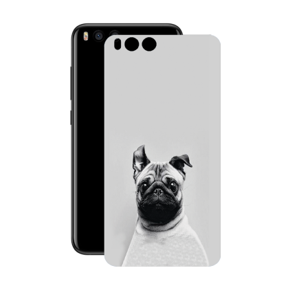 Защитная пленка StatusSKIN для Xiaomi Mi 6