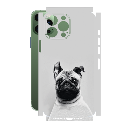 Захисна плівка StatusSKIN для Apple iPhone 13 Pro Max