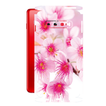 Захисна плівка StatusSKIN для Samsung Galaxy S10 (G973)