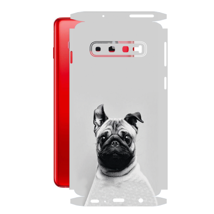 Захисна плівка StatusSKIN для Samsung Galaxy S10 (G973)