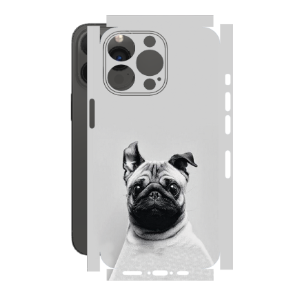 Захисна плівка StatusSKIN для Apple iPhone 13 Pro