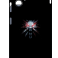 Захисна плівка StatusSKIN для Samsung Galaxy A06 5G (A066)