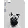 Захисна плівка StatusSKIN для Samsung Galaxy A06 5G (A066)