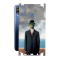 Защитная пленка StatusSKIN для Samsung Galaxy M30 (M305)