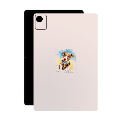 Защитная пленка StatusSKIN для Realme Pad X 11