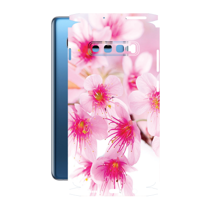 Защитная пленка StatusSKIN для Samsung Galaxy S10 Plus (G975)