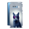 Защитная пленка StatusSKIN для Samsung Galaxy S10 Plus (G975)