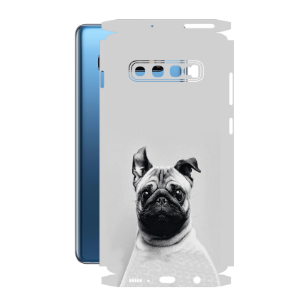 Защитная пленка StatusSKIN для Samsung Galaxy S10 Plus (G975)