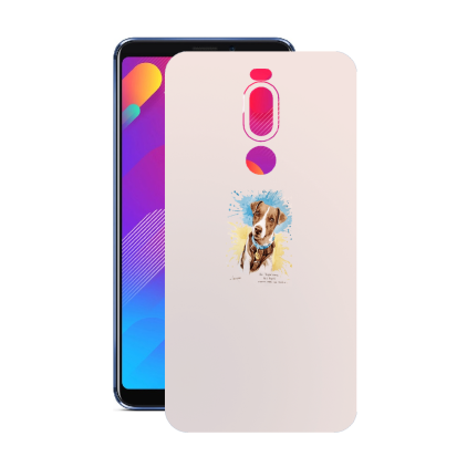 Защитная пленка StatusSKIN для Meizu V8